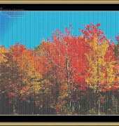 Mystic Stitch - FL-07
