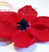 Meli Bondre - Camelia Shanahan - Red Anemone Flower Pattern - Free