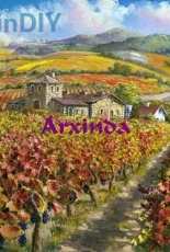 Arxinda - Vinyard