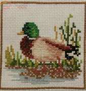 SIMPLE DUCK