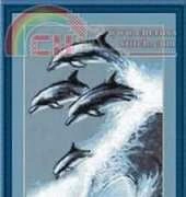 Zolotoe Runo ZR GT-006 Dolphins