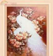 FIORI 91