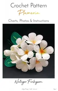 Natagor Finlayson - Plumeria