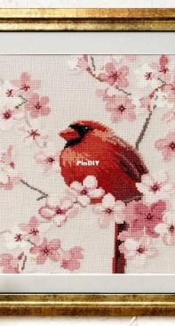 Songbird of Spring - Northern Cardinal by Lesley Teare from Cross Stitch Gold Issue 153 XSD + PCS