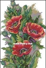 Merejka K-81 Vintage Poppies