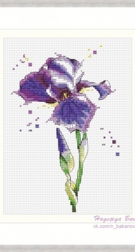 Watercolor Iris by Nadezhda Bakanova - Free
