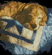 Dimensions 3220 Snooze XSD