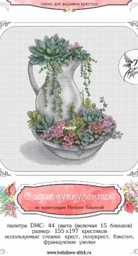 Succulent Garden by Antonina Tretyakova