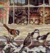 Dimensions 3839 Three Bird Watchers