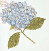 The Hydrangea