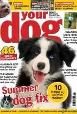 Your Dog August 2017