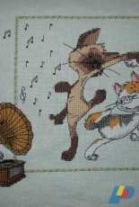 RTO M215 - Cat´s Waltz