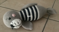 Seal baby