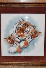 Siberian Snuggle - Dimensions 13695