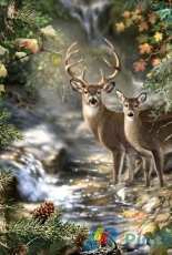 HAED HAEDJG9818 Deer Creek by Dona Gelsinger