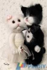 Olga Shelga - Newlyweds cat  - Russian