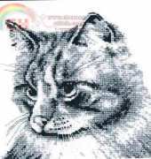 Anchor MC03 Mono Collection - Cat