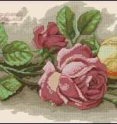 Dimensions 13720 Rose Cuttings XSD
