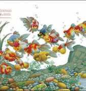 Dome 110702 Colorful fish