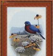 Classic Cross Stitch BI125 - Bluebird