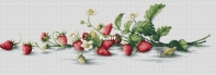 Luca-S B2266 - Etude with Strawberries PCS