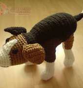 Yulivee - Sonea Delvon - Beagle Dog