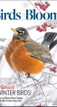 Birds and Blooms Extra – Winter 2026