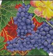 DMC XN9011 - Grapes