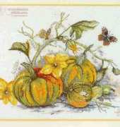 Lanarte 34396 Pumkins