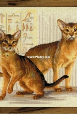 Riolis - 1671 Abyssinian cat XSD