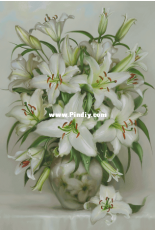 EstE 285 Lilii (lily)