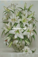 EstE 285 Lilii (lily)