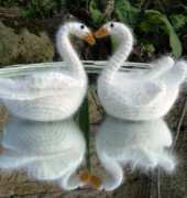 Roman Sock - Brigitte Read and Pauline Letson - Simple Swan - Free