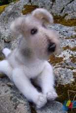 Fox Terrier