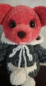 fox in a sweater