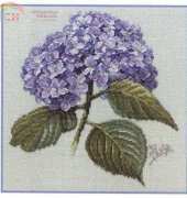 Hydrangea from Leisure Arts 3493 Pillows from Paulas Garden