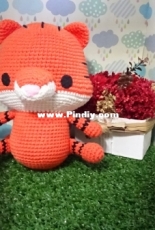 Orange tiger