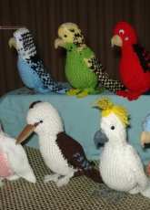 Aussie Birds
