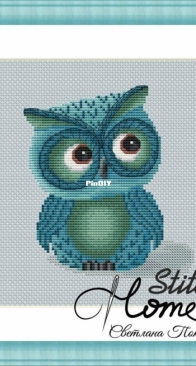Stitch Home - My Son Owl by Svetlana Pokrovskaya