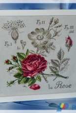 La Rose - DFEA - Veronique Enginger - Les Brodeuses Parisiennes