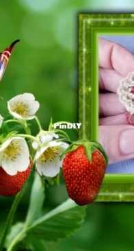 strawberry pie
