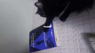 She's a reader