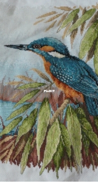 Kingfisher