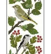 Birds in Autumn from Mary Hickmotts New Stitches113