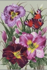 Chimera - Lily and Peacock