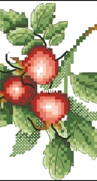 M.P. Studio - M-599 rose hip XSD