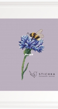 Stichka - Cornflower by Alesya Kiryakova