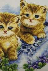 cute~! cat~~~