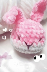 The little rabbit head