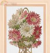 FIORI 197